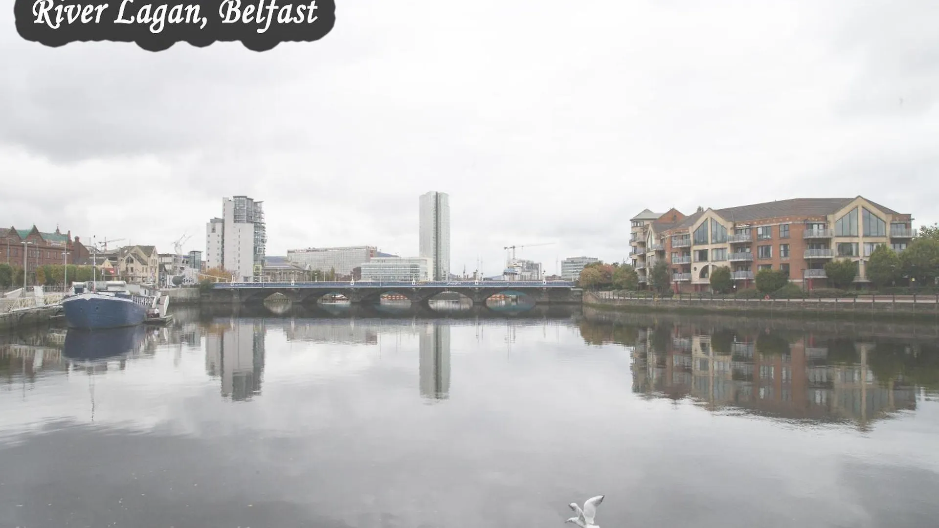 Albert Lodge- One Bedroom Apartment Belfast 0*,